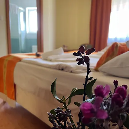 Hotel Aqua Therm 3*