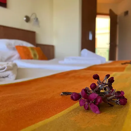 Aqua Therm Villa - Hotel Zalakaros 3*