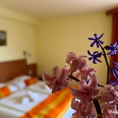 Aqua Therm - Hotel 3*