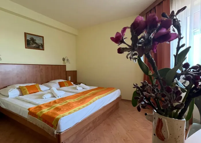 Hotel Aqua Therm Zalakaros