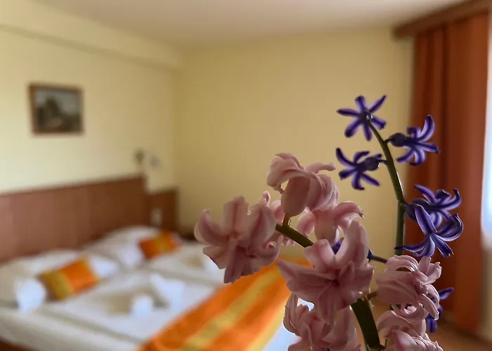 Aqua Therm Villa - Hotel Zalakaros Hotel