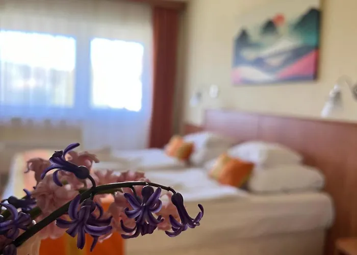 Hotel Aqua Therm Villa - Hotel Zalakaros