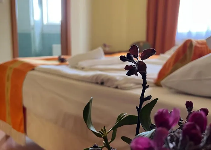 Hotel Aqua Therm Villa - Hotel Zalakaros 3*