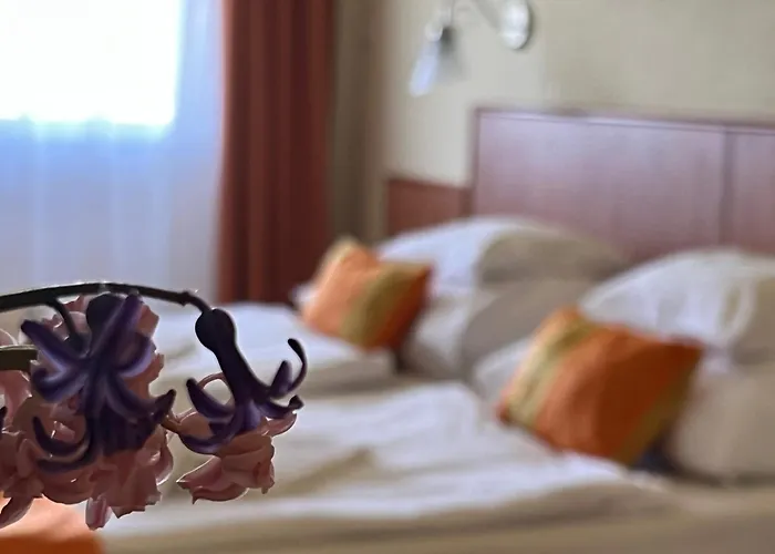 Aqua Therm Hotel Zalakaros